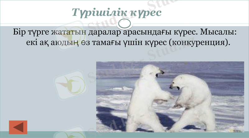 Slide 14