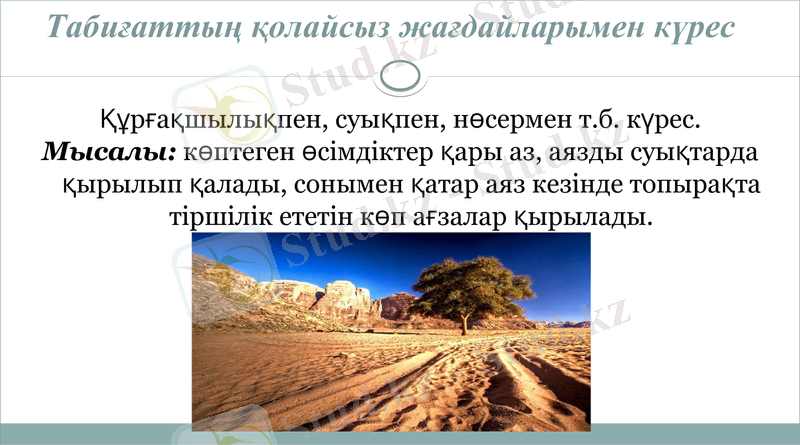 Slide 15
