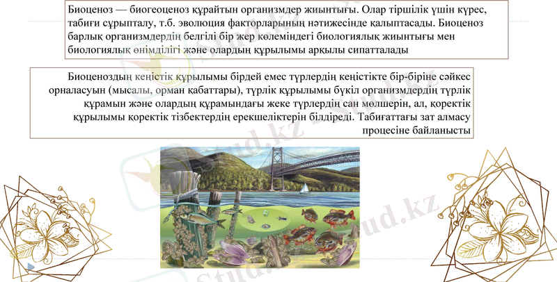 Slide 17