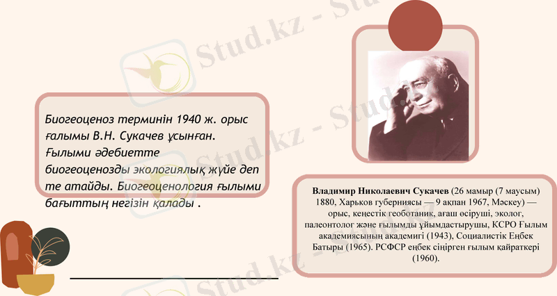Slide 19