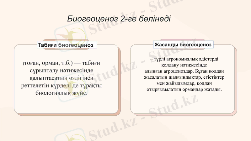 Slide 21