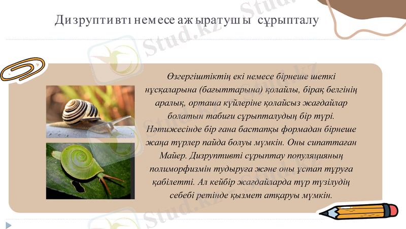 Slide 6