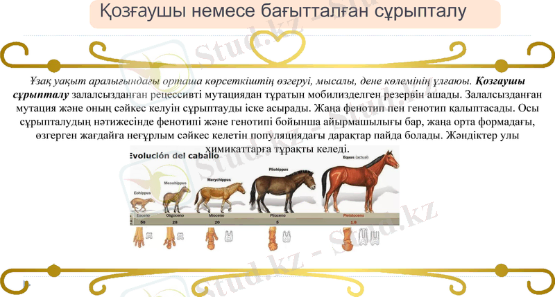 Slide 7