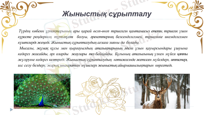 Slide 8