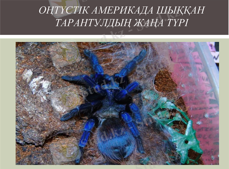 Slide 6