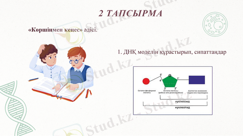 Slide 10