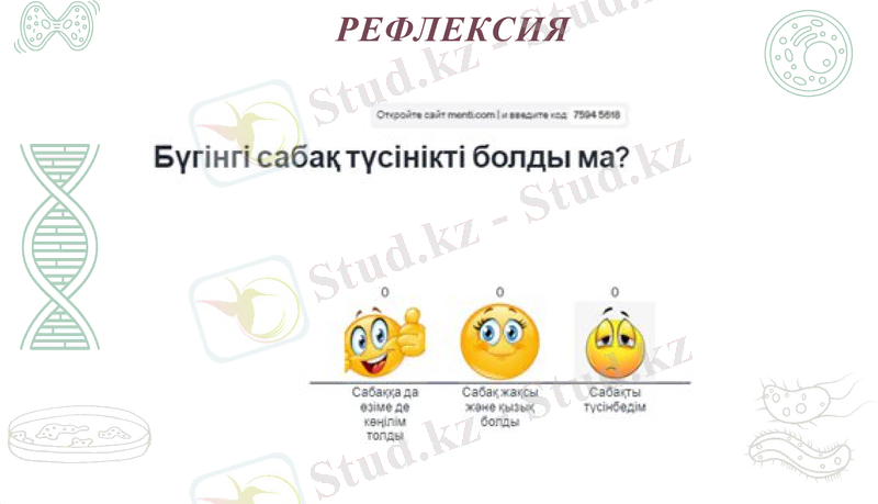 Slide 11