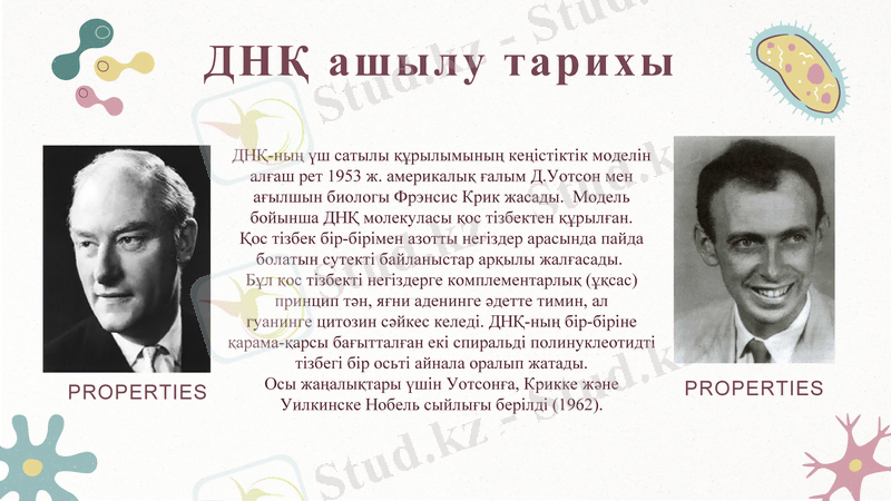 Slide 7