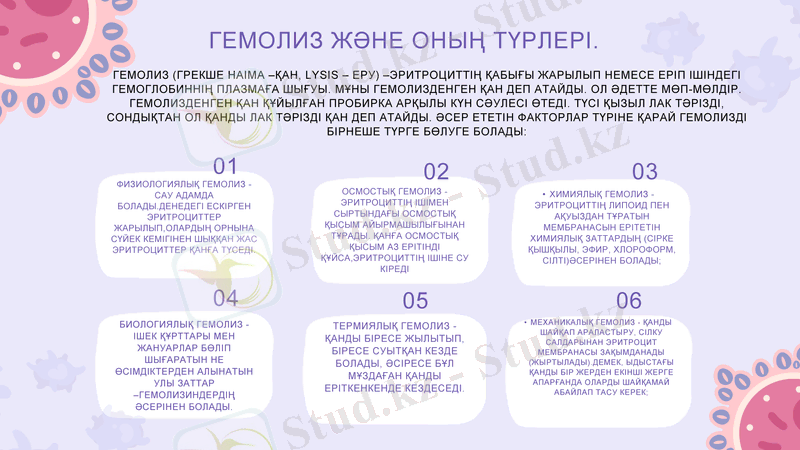 Slide 7