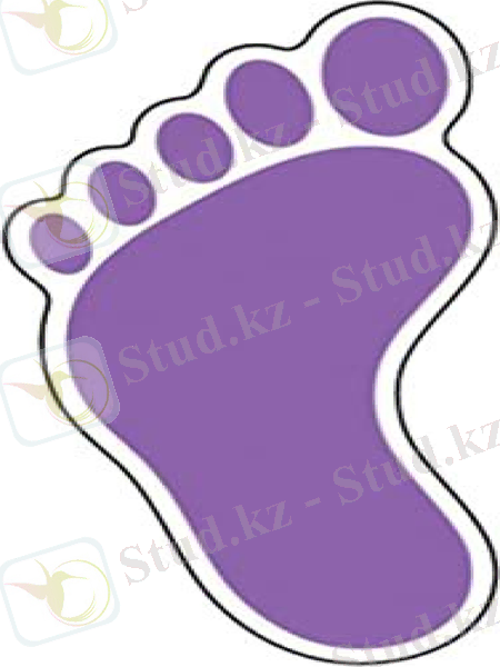 Slide 11