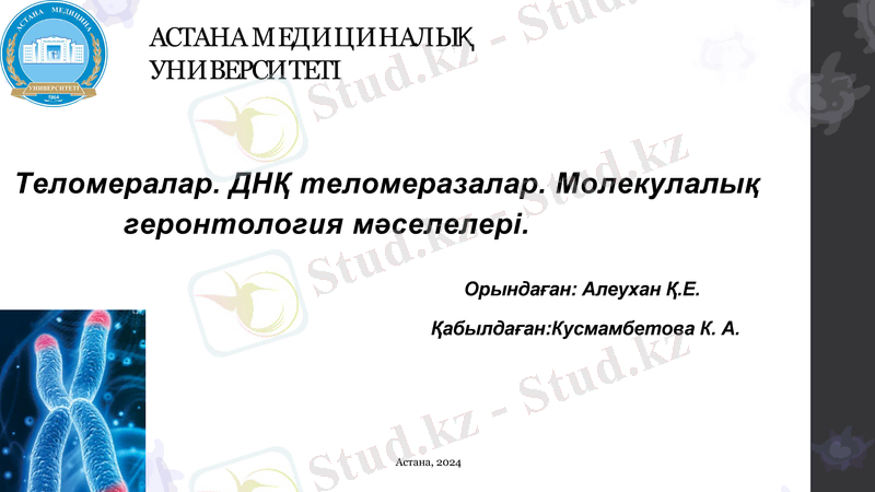 Slide 1