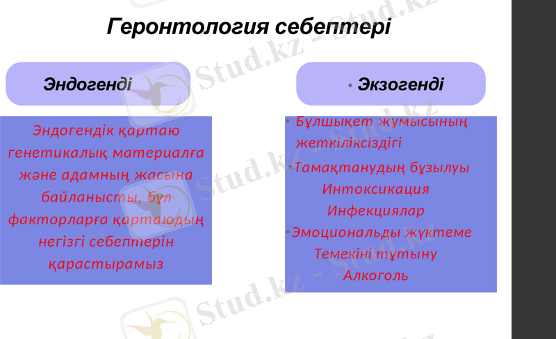 Slide 12