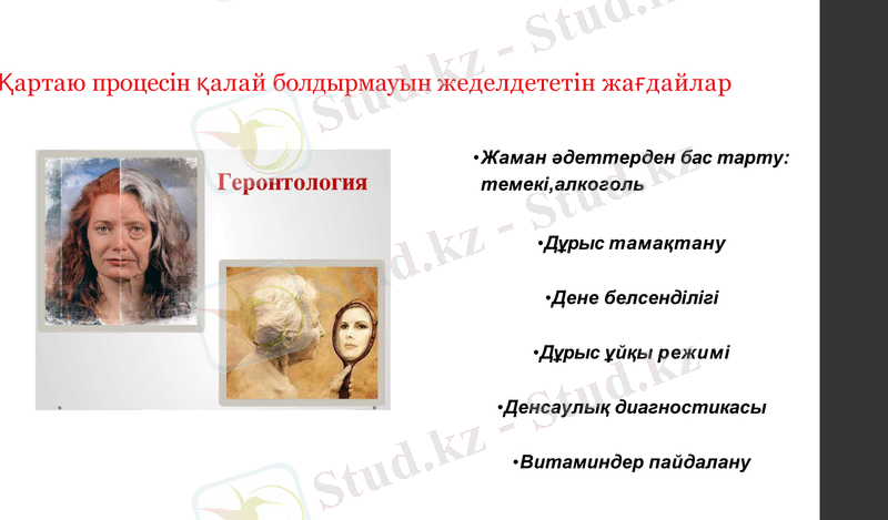 Slide 13