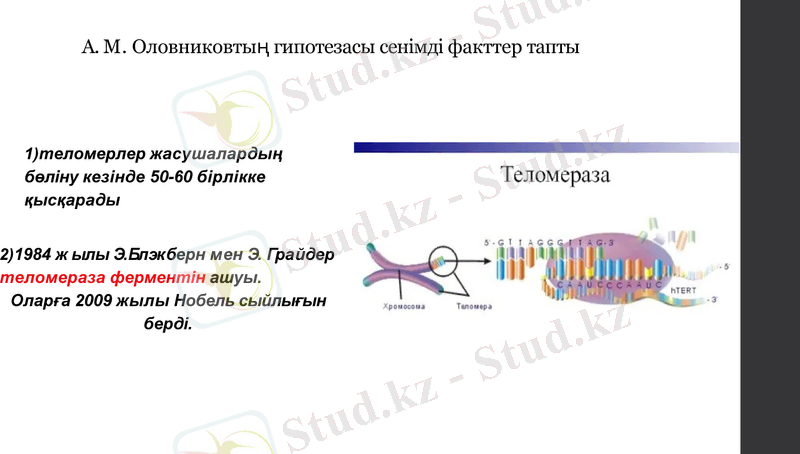 Slide 6