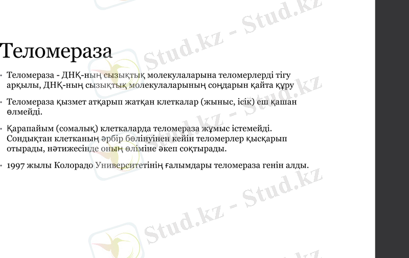 Slide 7