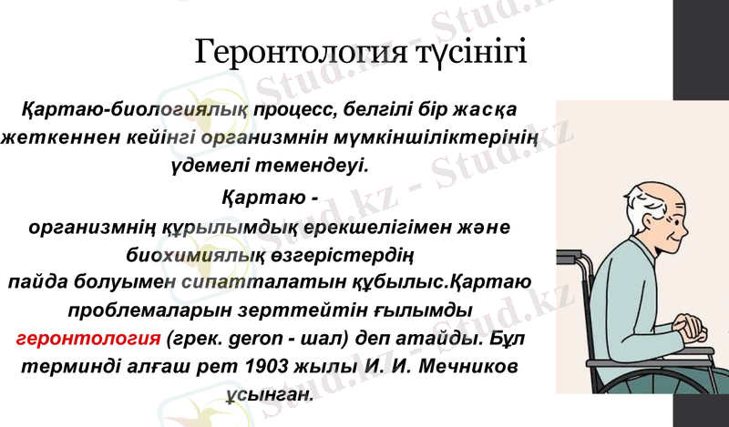 Slide 8