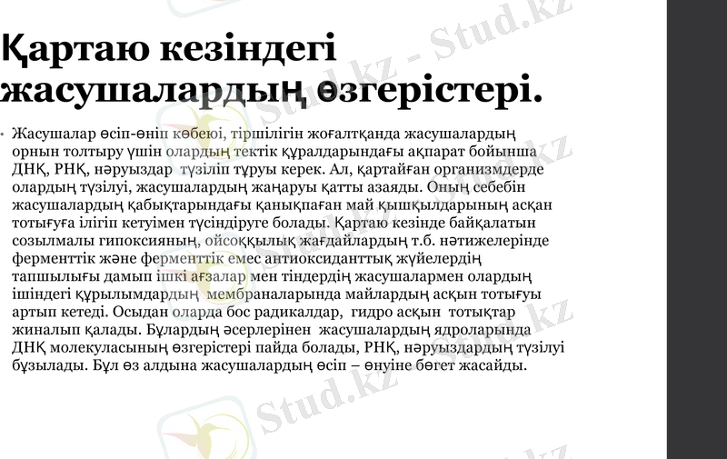 Slide 9