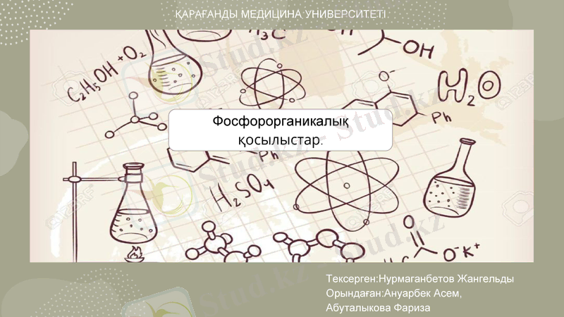 Slide 1