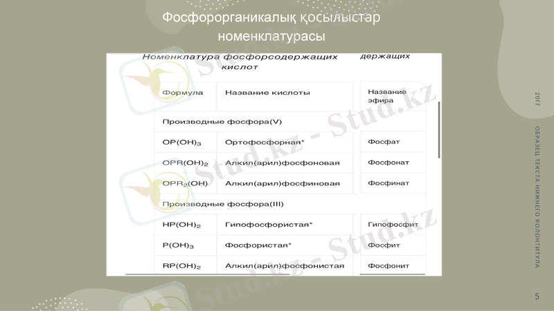 Slide 5