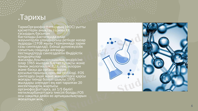 Slide 6