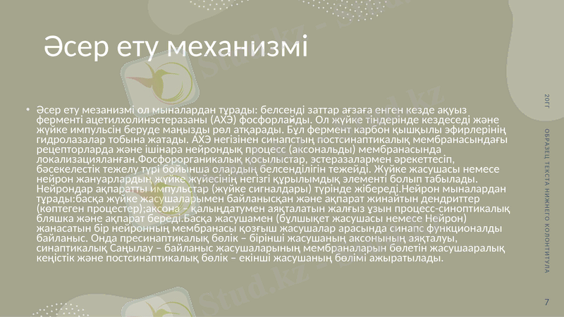 Slide 7