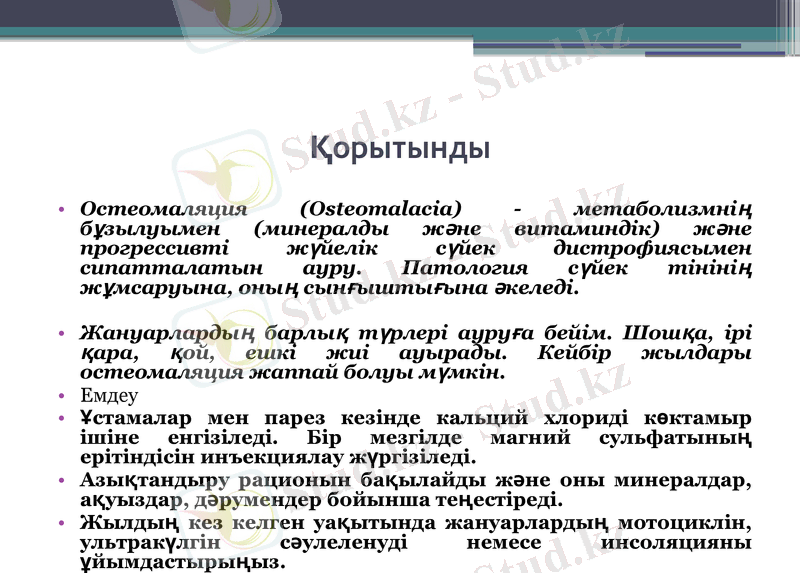 Slide 11