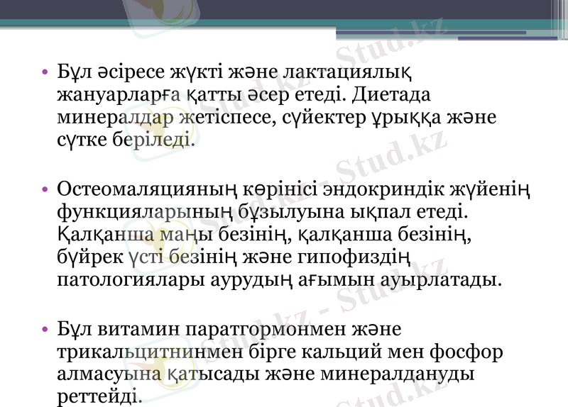 Slide 6
