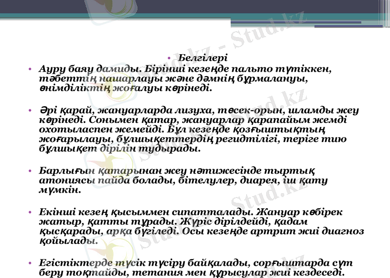 Slide 7