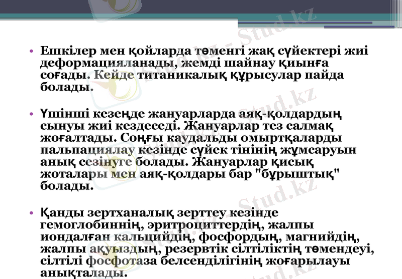 Slide 8