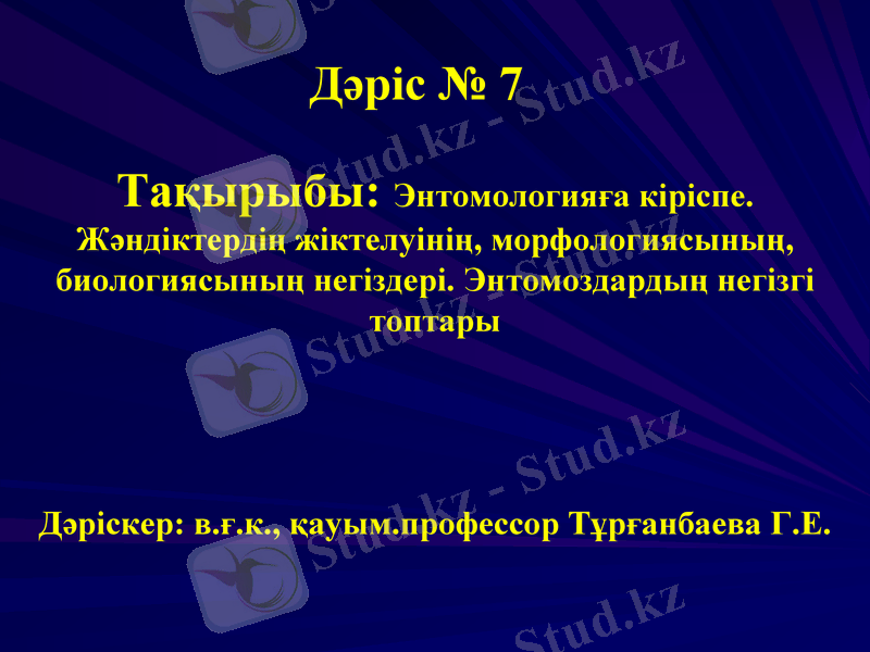 Slide 1