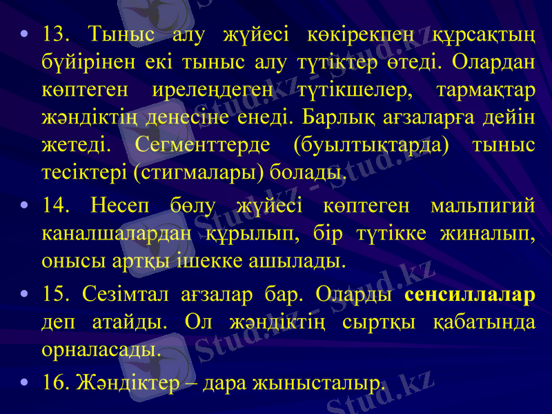 Slide 11