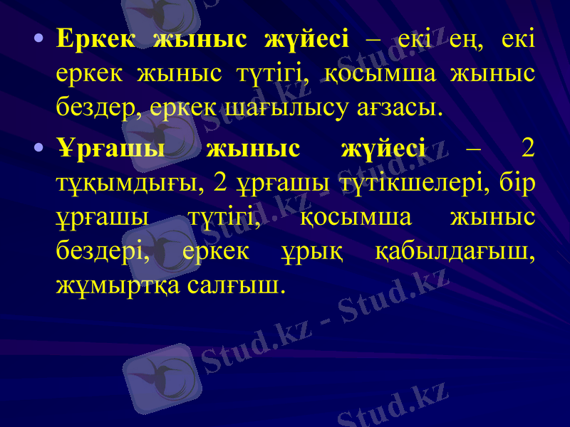 Slide 12