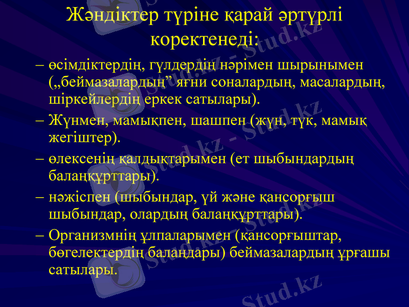 Slide 13
