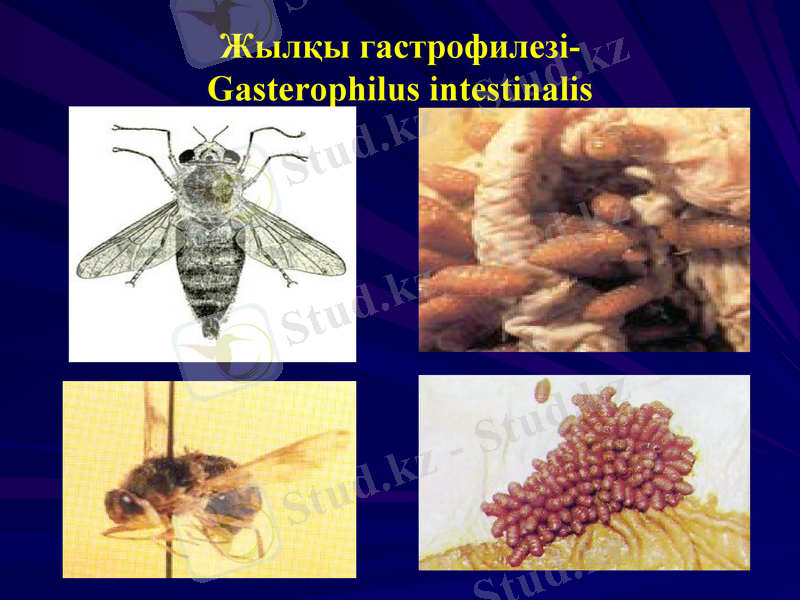 Slide 14