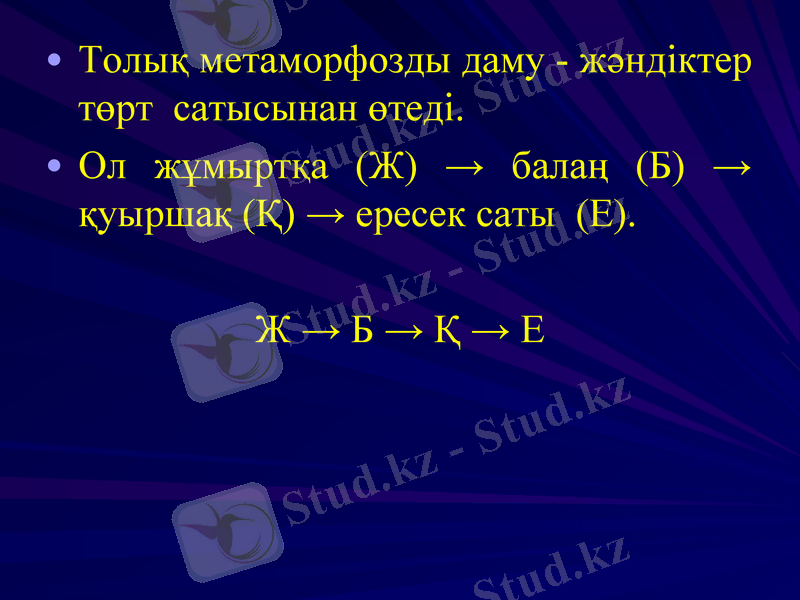 Slide 16