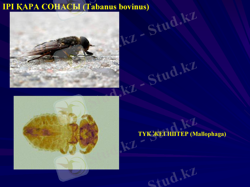 Slide 20