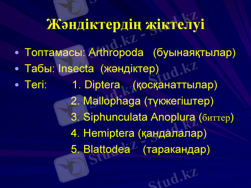 Slide 21