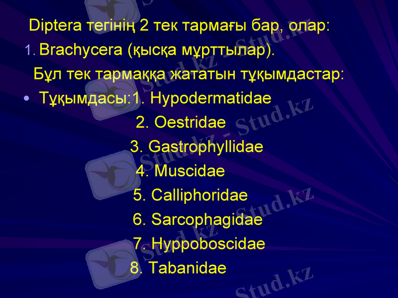 Slide 22