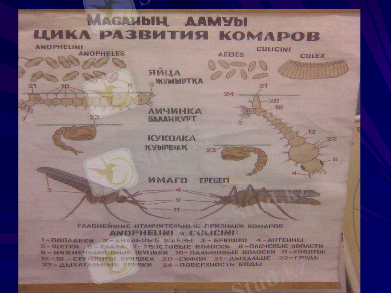 Slide 23