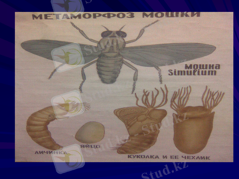 Slide 25