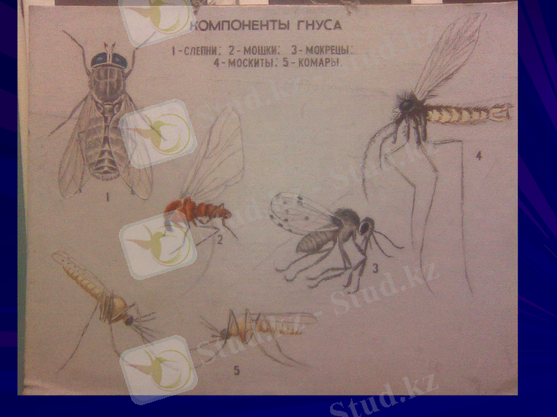 Slide 26