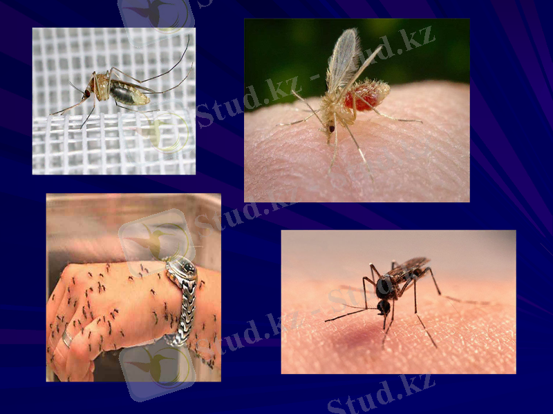 Slide 27