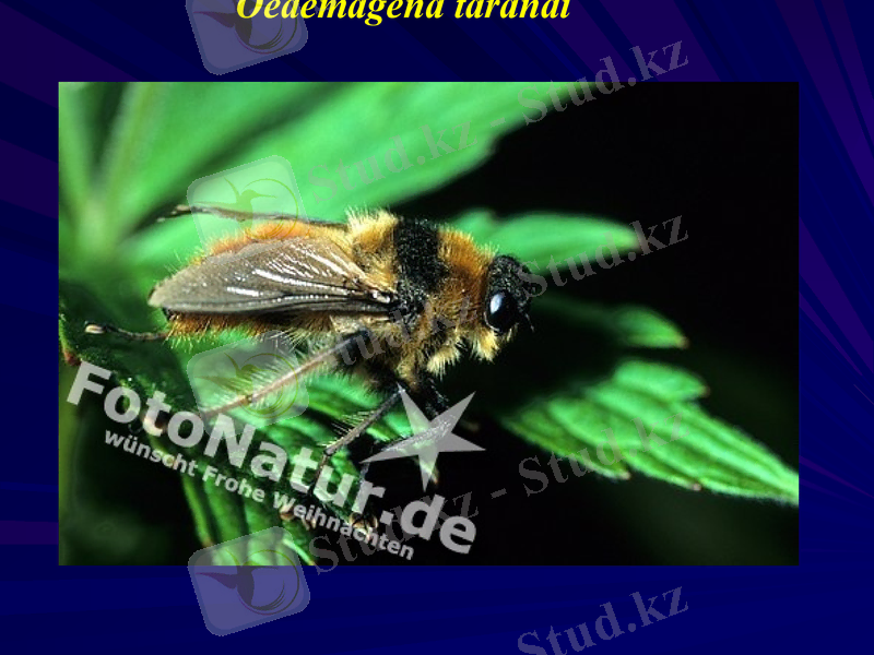 Slide 28