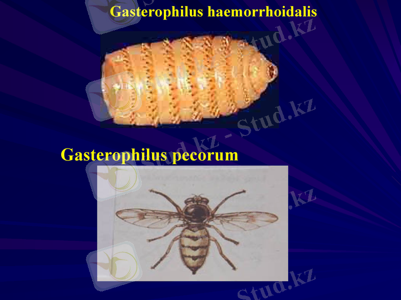 Slide 30