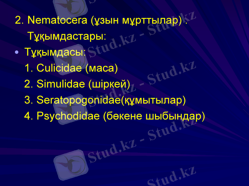 Slide 32