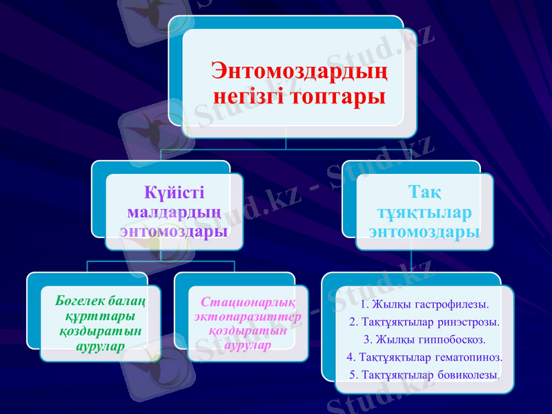 Slide 34