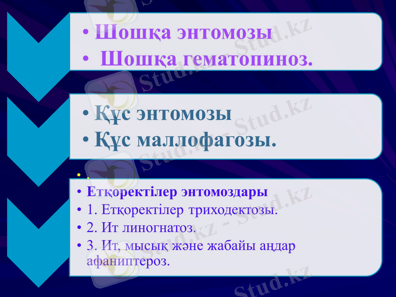 Slide 37