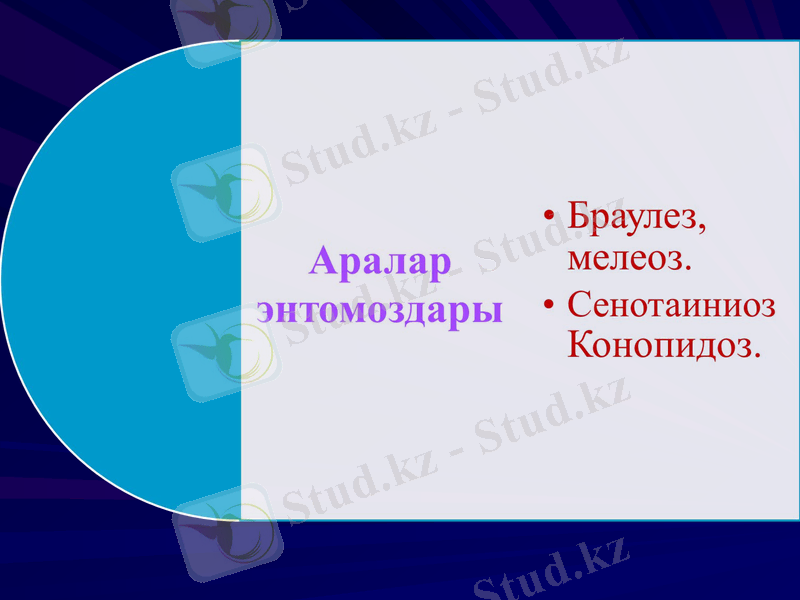 Slide 38