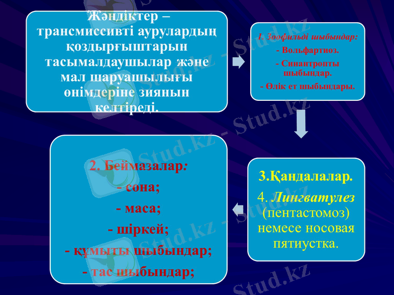 Slide 40