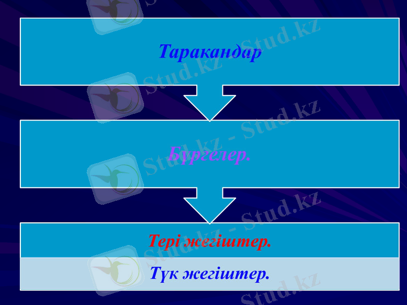Slide 41